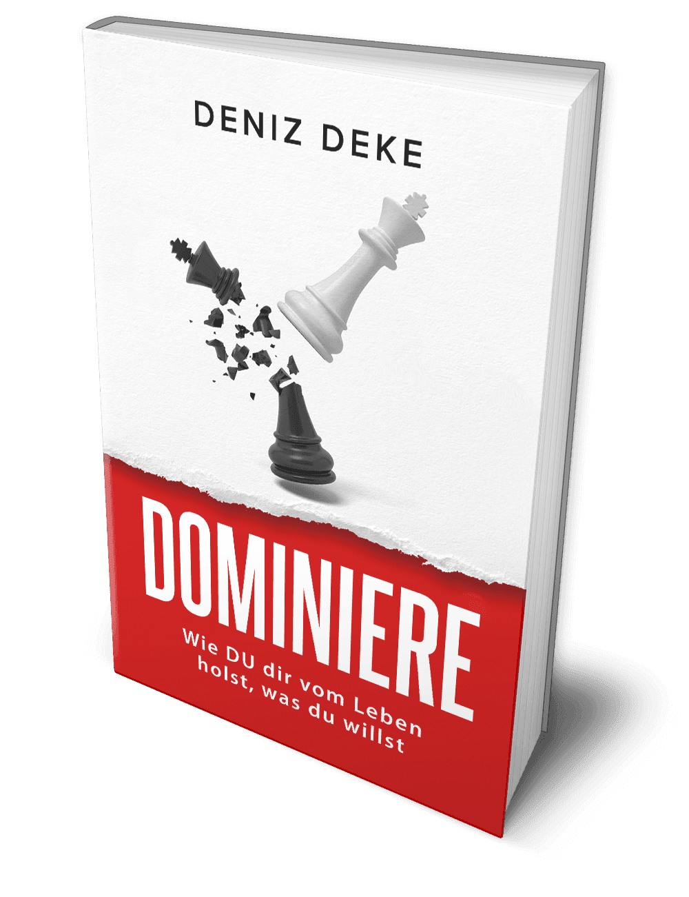 „Dominiere dein Leben“ im Alltags-Check: Vier Situationen, die zeigen, was die Prinzipien wirklich bringen